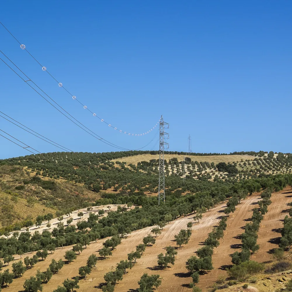 Negociación, redacción y suscripción de contratos de servidumbre eléctrica